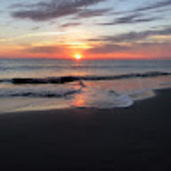 Meet your Posher, James - Picture 1 of 1